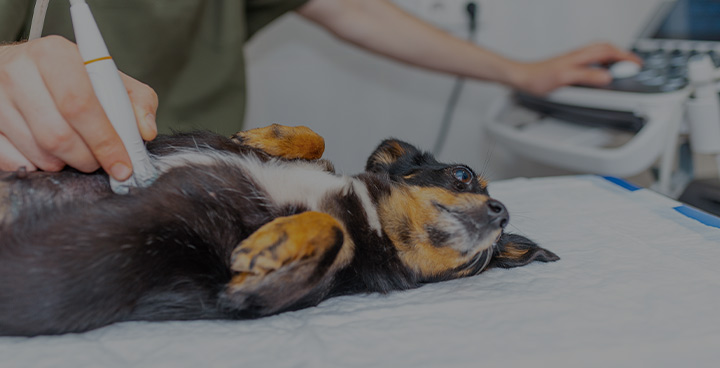 다양한 최고급 디지털 장비 보유