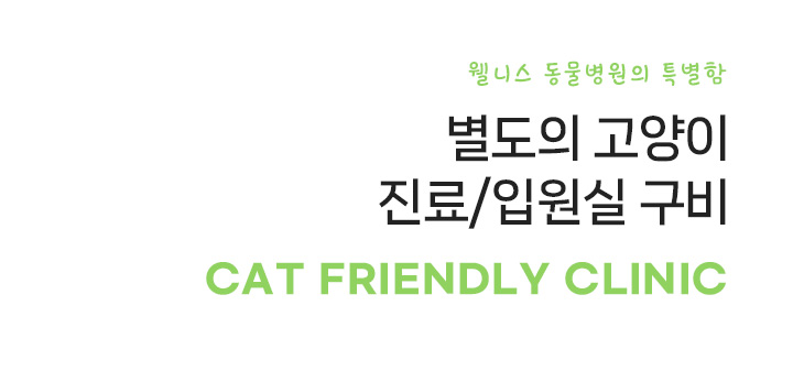 CAT FRIENDLY CLINIC