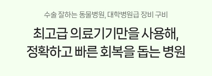 수술 잘하는 동물병원, 대학병원급 장비 구매