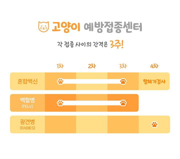 고양이 예방접종