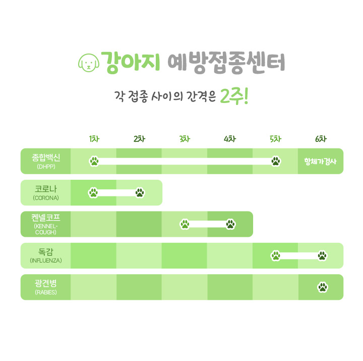 강아지 예방접종