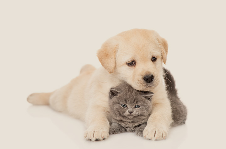 우리 아이 평생 주치의 웰니스 건강검진센터