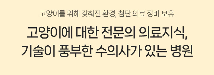 고양이를 위해 갖춰진 환경, 첨단 의료 장비 보유