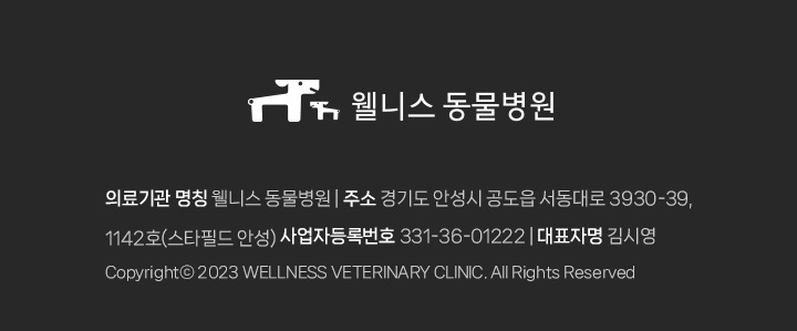 웰니스동물병원