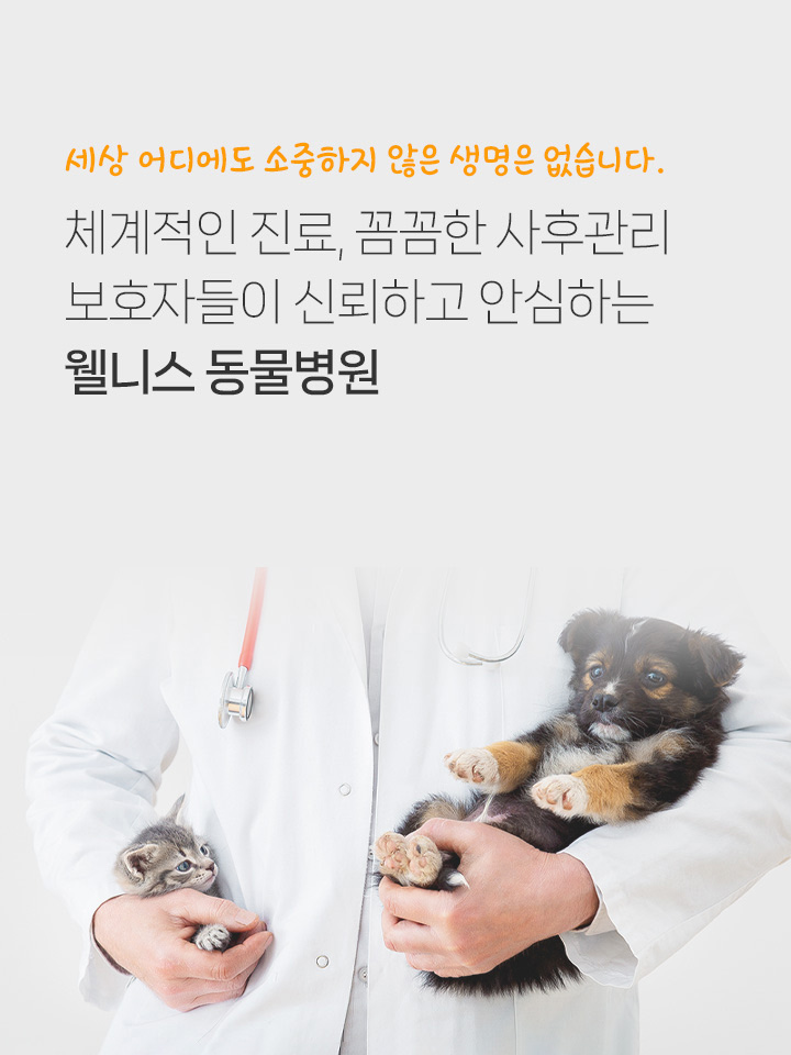 웰니스 동물병원