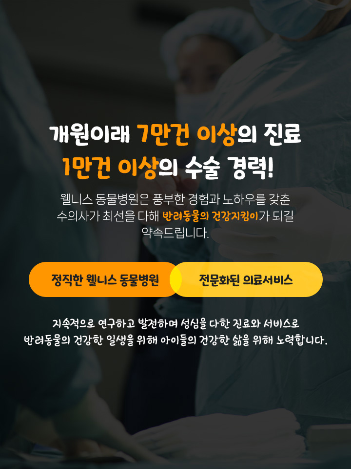 개원이래 7만건 이상의 진료 1만건 이상의 수술 경력!